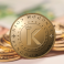 kccoinpic2-550x450